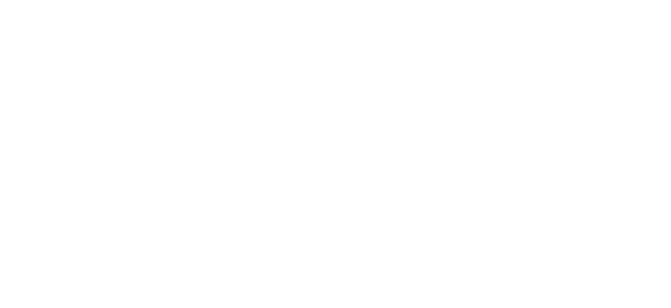Proyecto Común DOBEL S.C. de R.L.